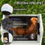 Niche pour chien en plastique Aunyae-1760595663-1791509099