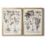 Sépia Besler Botanicals V - ensemble de 2 reproductions d'art sur toile encadrées-71888212-71888208