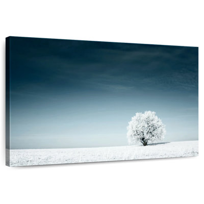 Arbre solitaire Alvord en hiver