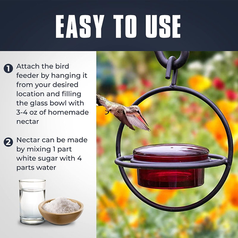 Circular Red Glass and Black Metal Hanging Hummingbird Feeder