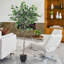Artificial White-Edge Ficus in Premium Fabric