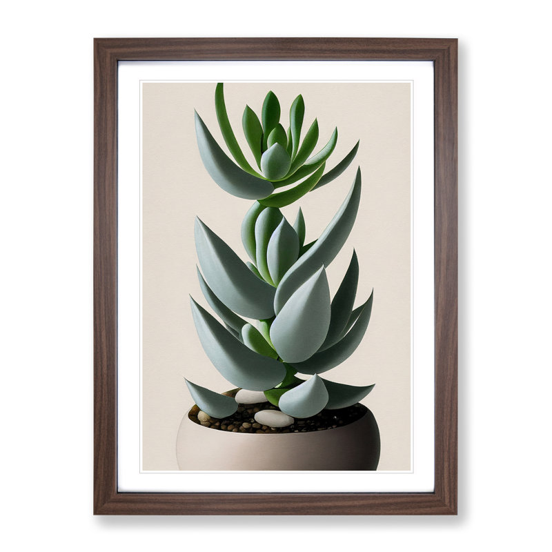 Succulent Plant - Wall Art, 66cm H x 48cm W, Walnut Framed Paper, White