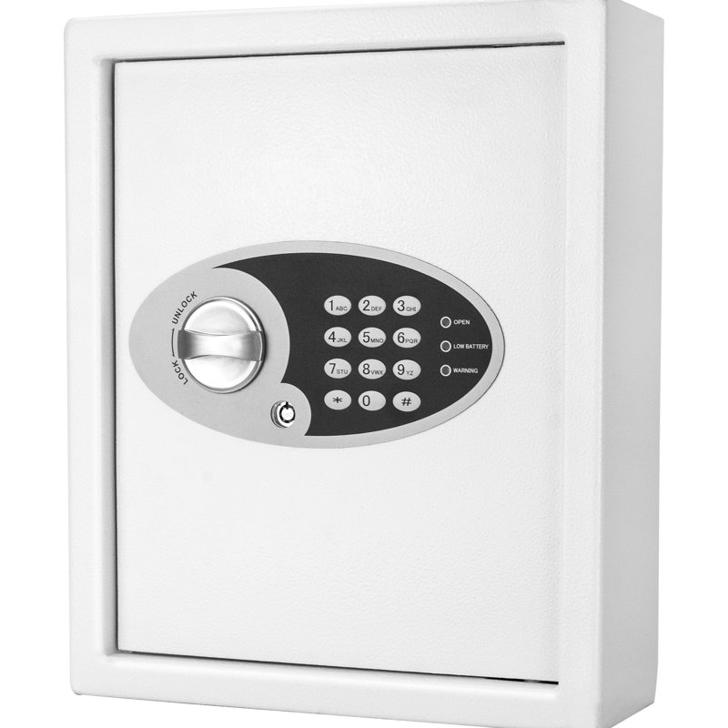 Armoire à clés murale 48 clés - fabrication en acier pour la protection en acier robuste, dépôt