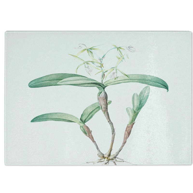 Tempered Glass Star Flowers by Pierre-Joseph Redoute Chopping Board, 28.5 cm W x 20 cm L