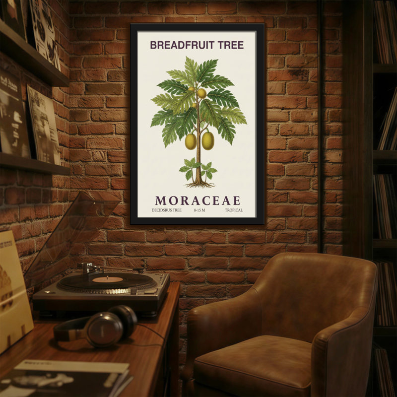 Plantes et fleurs, arbre à pain, Moracées, plante tropicale, reproduction d'art