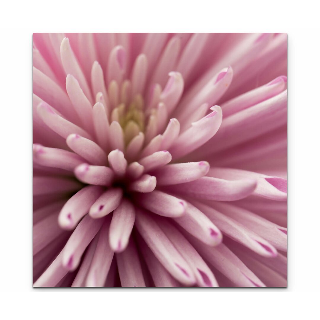 Leinwandbild Pinke Blume – Nahaufnahme