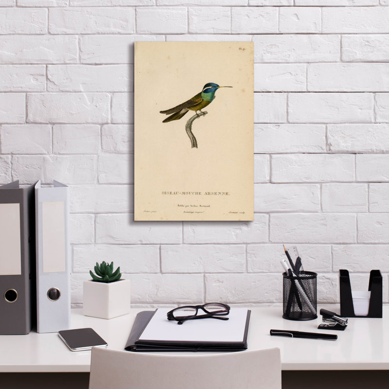 «Oiseau-mouche Arsenne» par Art Licensing Studio, art mural sur toile, H 18 po x l 12 po x P 0,75 po