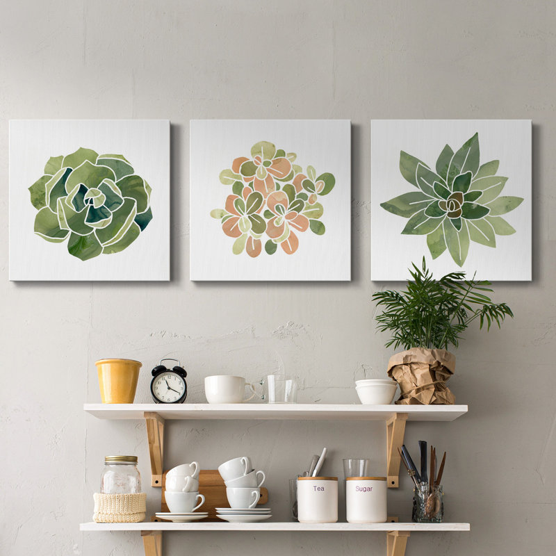 «Succulent Cameo III», ensemble de 3 toiles tendues, H 24 po x l 72 po x P 1 po