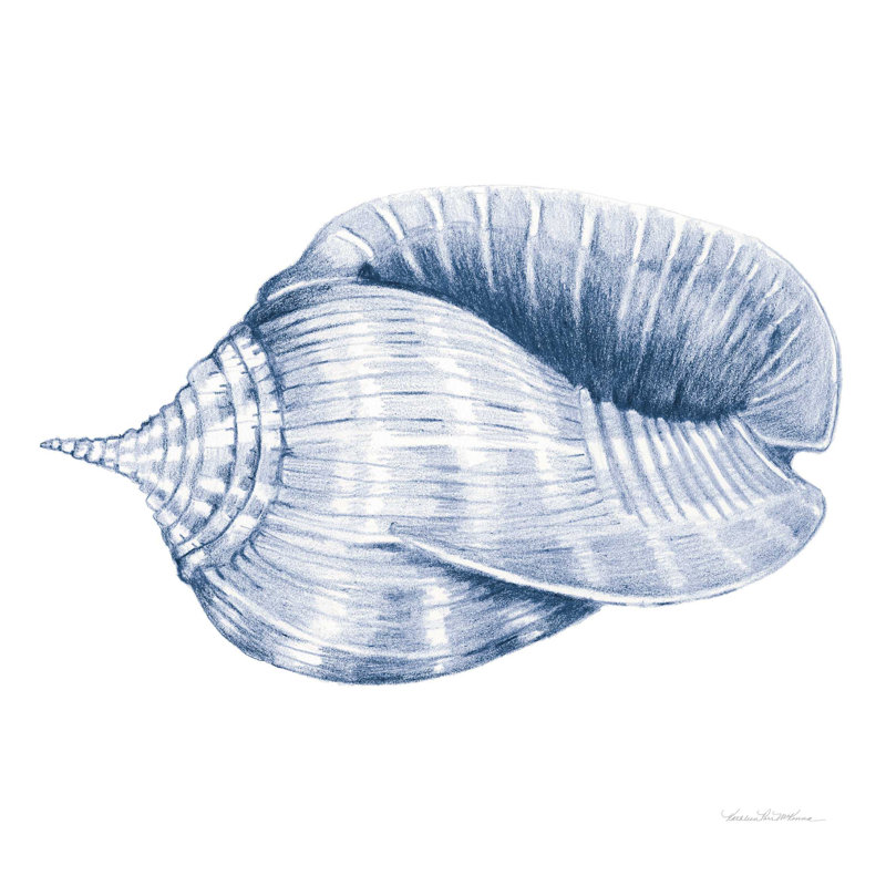 Coquillages II - bleu et blanc, H 36 po x l 36 po x P 1,25 po