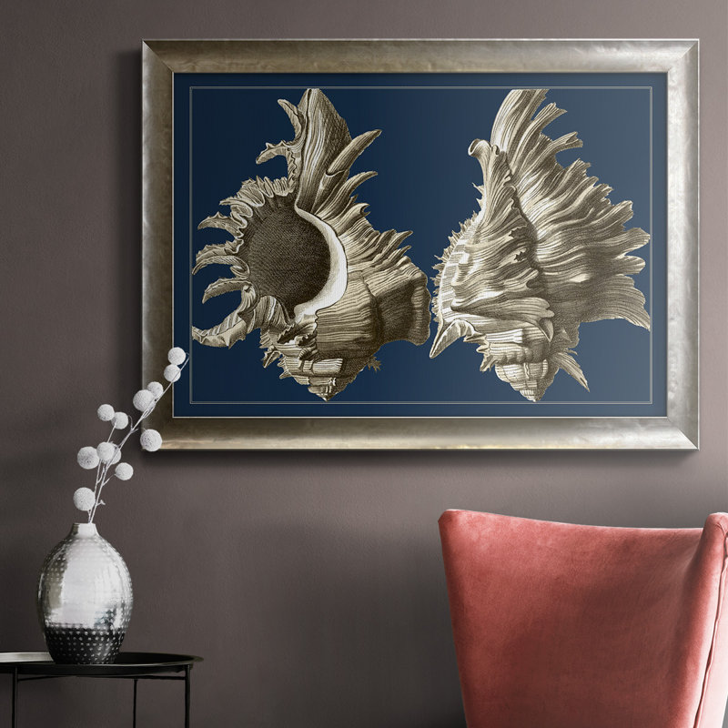 Conch Shells on Navy II - reproduction d'art sur toile encadrée, H 16 po x l 20 po x P 2,5 po