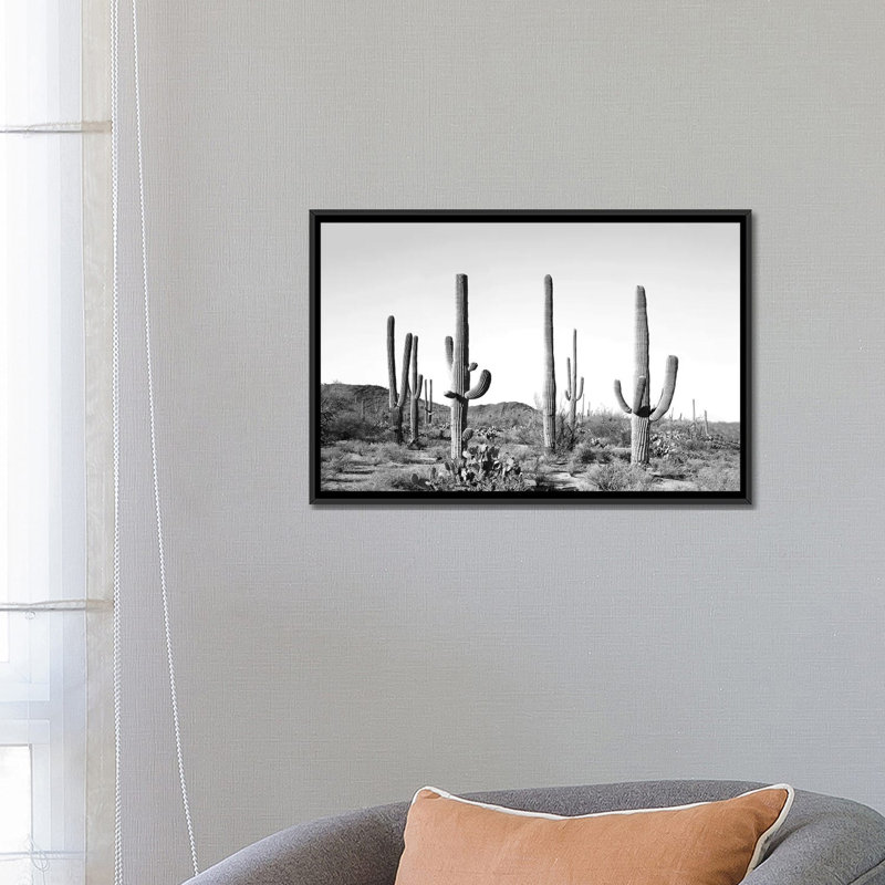 «Grey Cactus Land» par Sissi & Seb - impression encadrée, Toile avec cadre noir, H 18 po x l 26 po x P 1,5 po, Pas de tapis