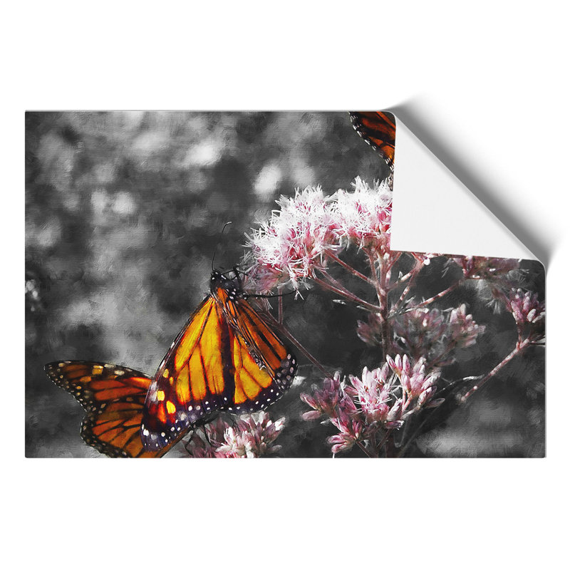 Monarch Butterflies Vol.2 - No Frame Print, 42cm H x 59cm W x 0.1cm D