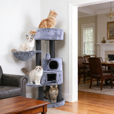 Arbre à chat de 61 po pour chats multicolores et grands chats