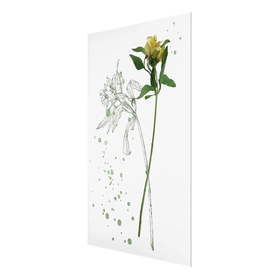 Glasbild Botanische Lilie