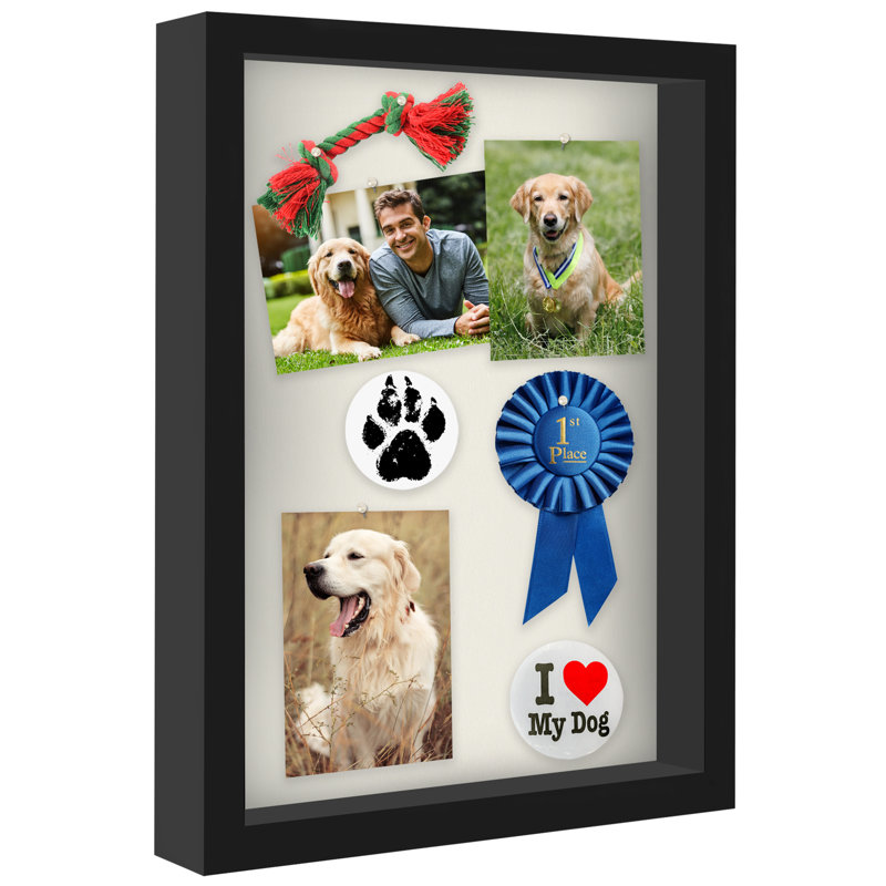 Cadre Delboxillo Shadowbox de 1,5 po de profondeur pour objets avec façade en verre, Noir, L 12 po x H 16 po