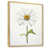 Cadre naturel flottant