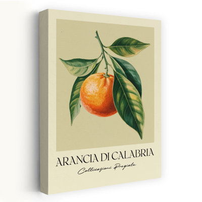 Élégant orange botanique, Illustration classique, fruit organique naturel, art mural