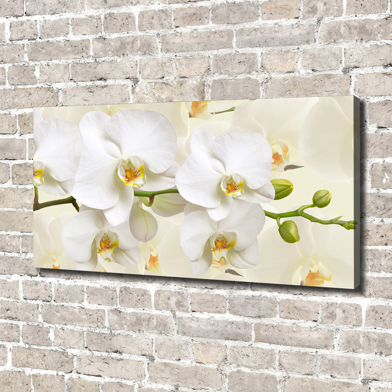 Orchid - No Frame Print, Canvas, 70cm H x 140cm W x 2cm D