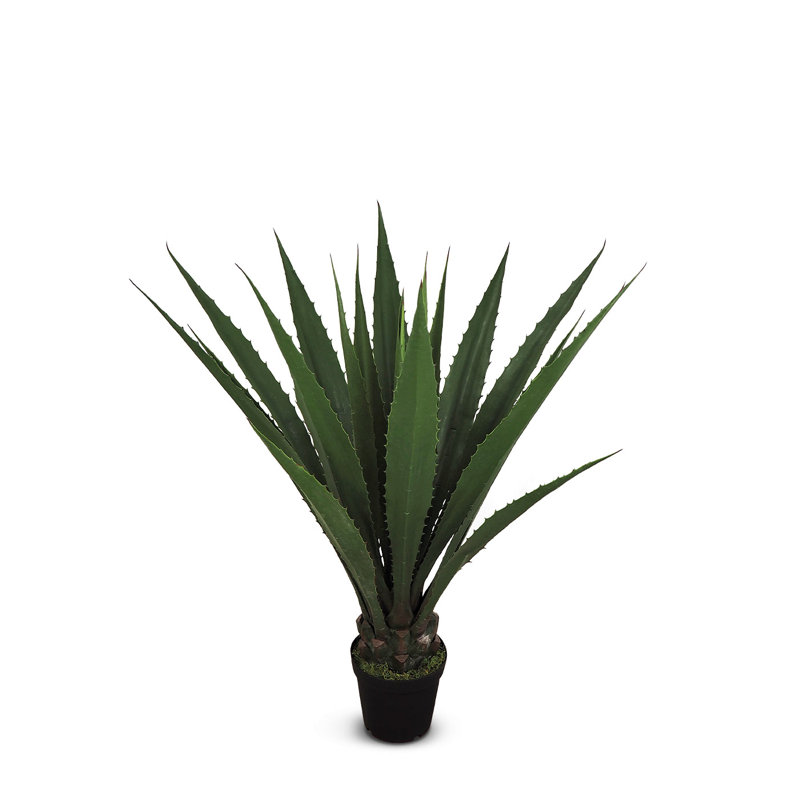 Fausse agave botanique au fini vert, H 53 po x l 26 po x P 26 po