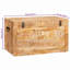 Camp Trunk / Footlocker-1703121834