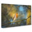 Robin Bird In A Tree - Wrapped Canvas-56640806