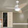 Light Pro LED Indoor Smart Ceiling Fan With Remote Control