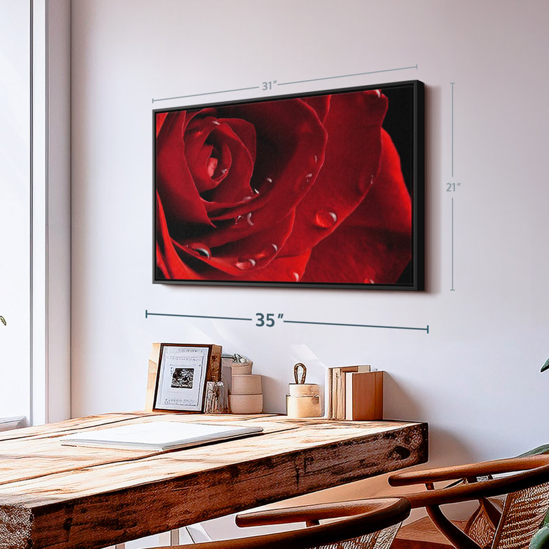 Impression sur toile Fresh Red Rose, H 21 po x l 31 po