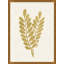 Gold Botanical 1 Print by Lillian August