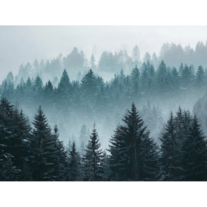 Art mural sur toile Misty Evergreen Valley, H 36 po x l 48 po
