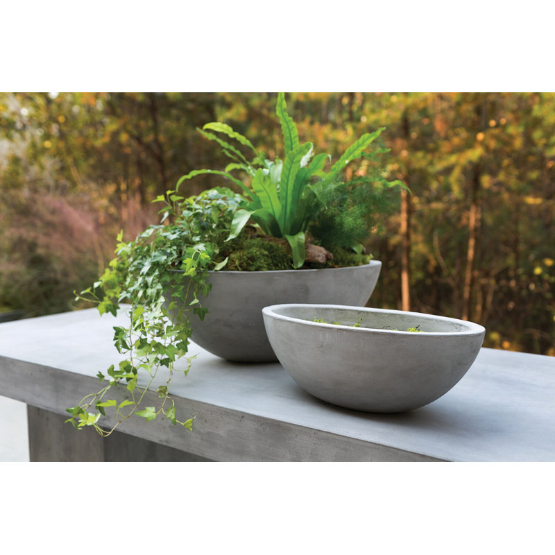 Pot à fleurs Treanor Newport, 15,7 po x 8 po x 6 po