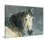 Parvez Taj - Wrapped Canvas Print-36743651