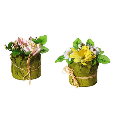 Mixed Arrangement in Pot