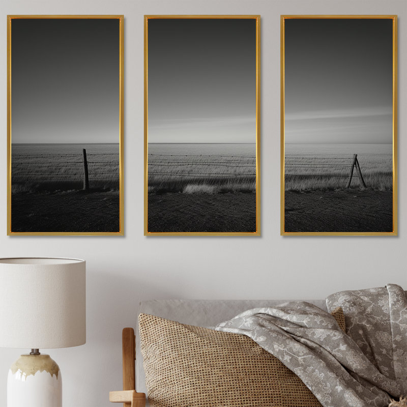 Black And White Meadow Photography - Meadow Canvas Art Set, Gold Floater Framed, 28" H x 36" W x 1" D