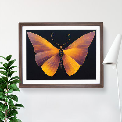 Enticing Butterfly - Single Picture Frame Print