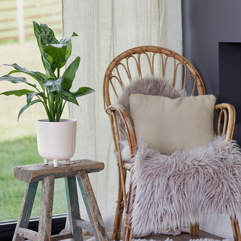 Lecce Speckled Planter, White, 24cm H x 20cm W x 20cm D