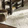 Toohey Indoor Rug