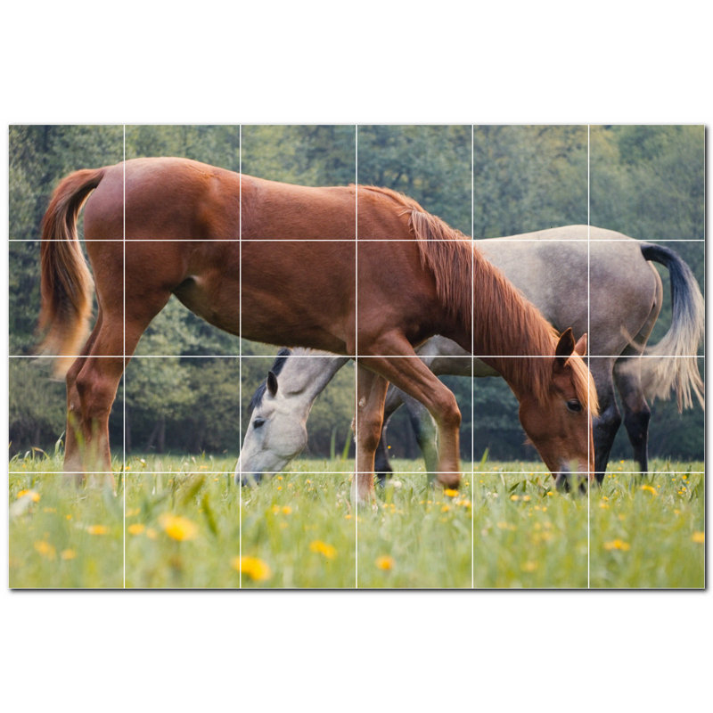 Murale en céramique satinée cheval photo 12 po x 12 po