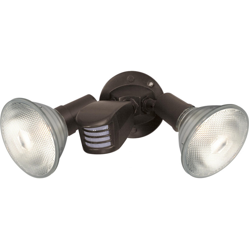 Chancy 150-Watt Dusk to Dawn Outdoor Security Spot Light with Motion Sensor, PAR39, Black