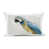 Gray Parrot