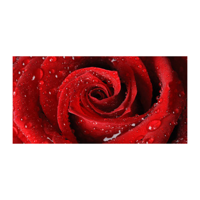Drops On A Rose - No Frame Print on Glass