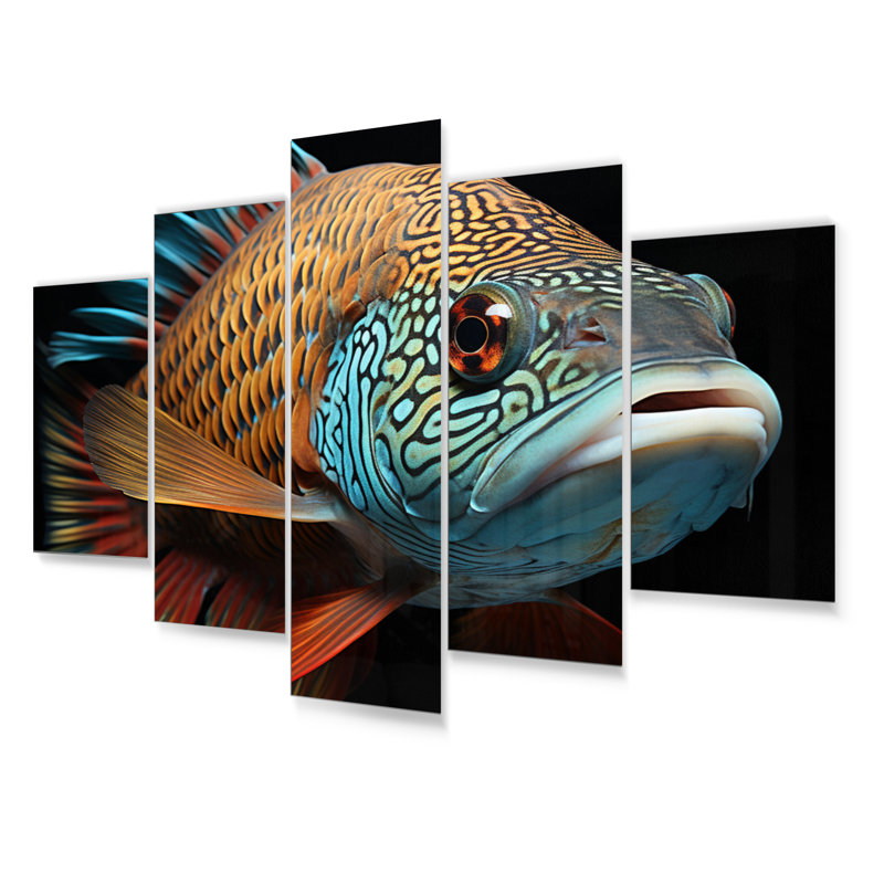 Fish Portrait Photo Animals Wall Decor