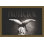 Protector 2 Print by Studio L57 Narrative