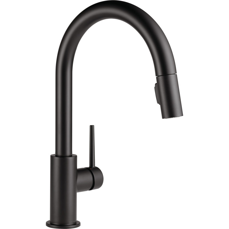 Robinet de cuisine Trinsic, Noir mat