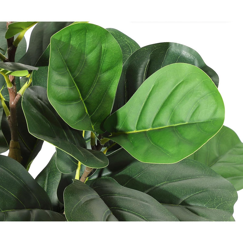 Plant, 26cm (W) x 26cm (D) x 150cm (H)