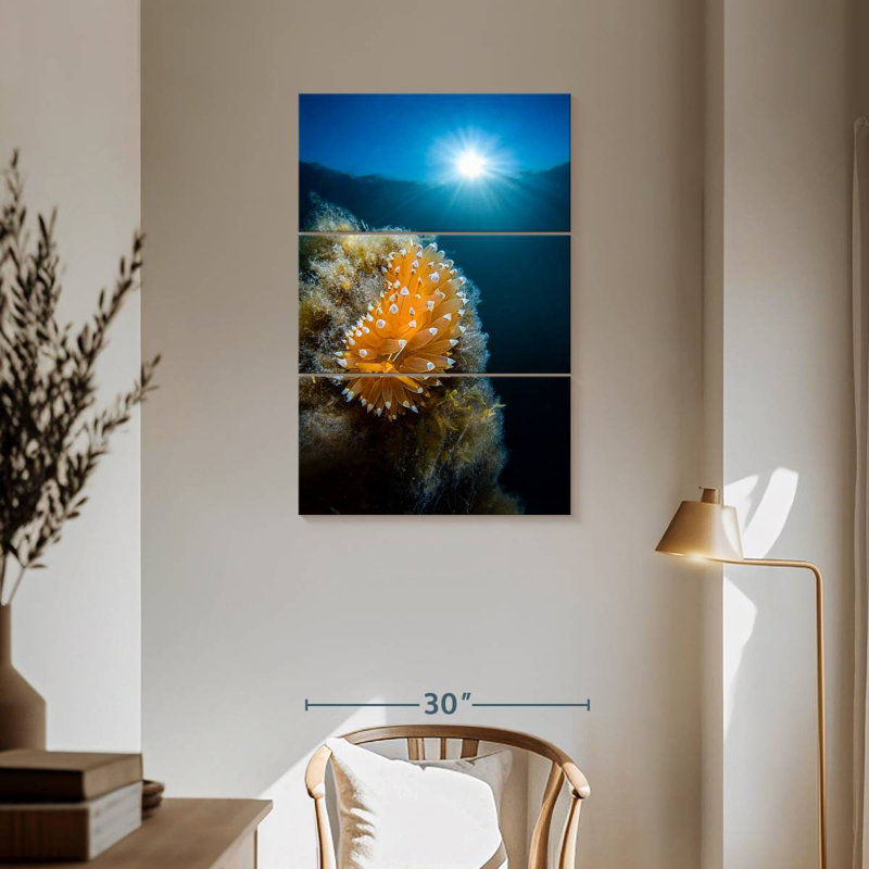 Brampt Crested Aeolis, 57" H x 36" W