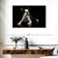 Young Boston Terrier-107889469