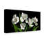 «White Alstroemeria» par Dosta, impression sur toile tendue-29224118