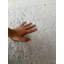 Wilton Machine Woven / Power Loomed Area Rug-589417430