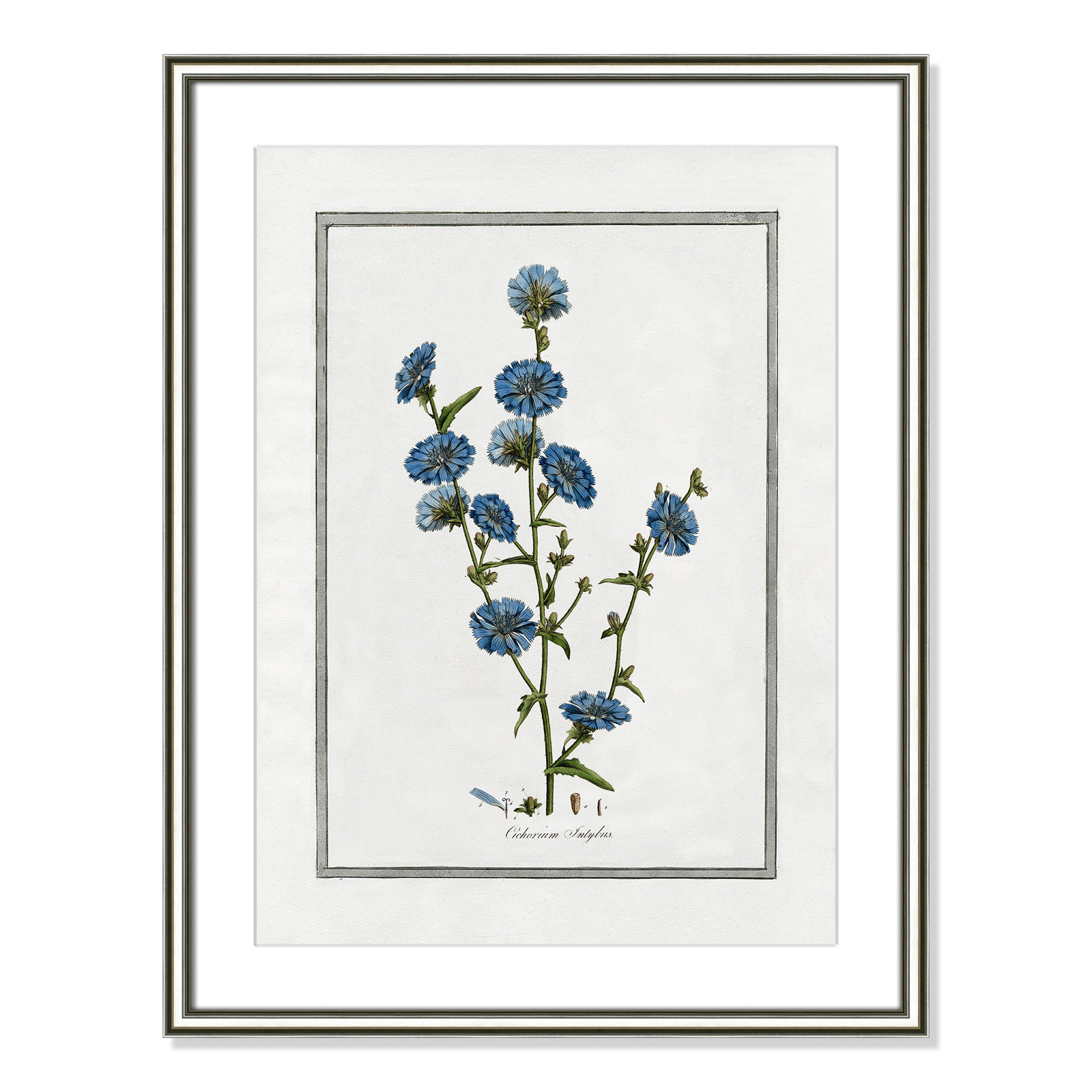 Colombe "Soft Botanical I" Print, 18.25" W x 24.25" H, Silver Framed