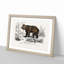 Brown Bear by Charles d'Orbigny - Picture Frame Painting Print-55512871-55512878